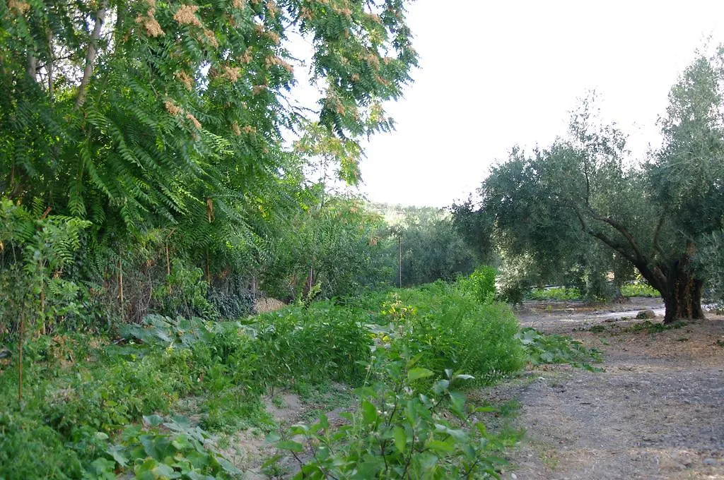 La Caseria Azul De Cuadros Bedmar y Garciez Spain
